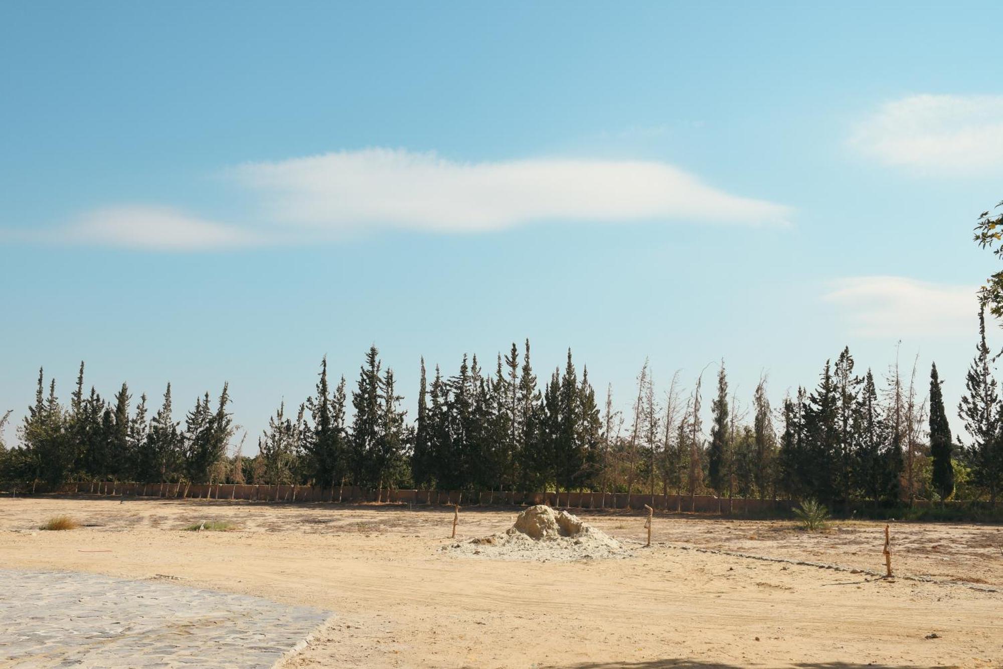 Tzila Bahariya Βίλα Bahariya Oasis Εξωτερικό φωτογραφία