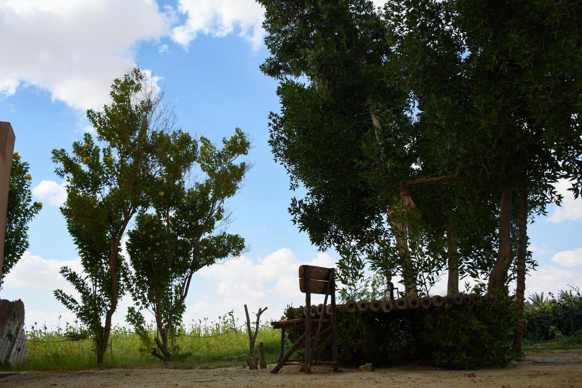 Tzila Bahariya Βίλα Bahariya Oasis Εξωτερικό φωτογραφία
